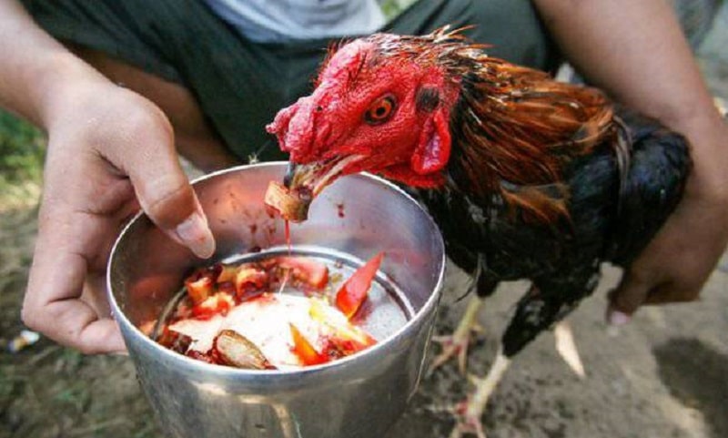 ga bi so mui kho khe 3