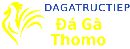 Đá Gà Thomo Trực Tiếp